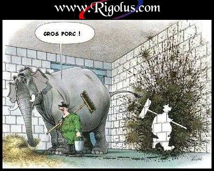 pas mal!