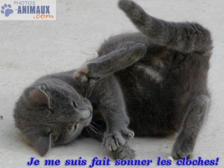 piti chat