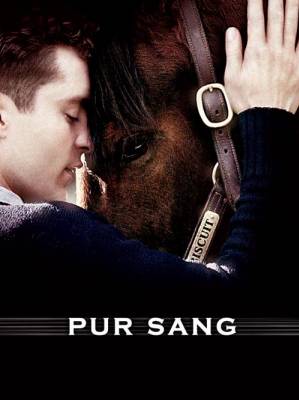pur sang la legende de seatbiscuit!